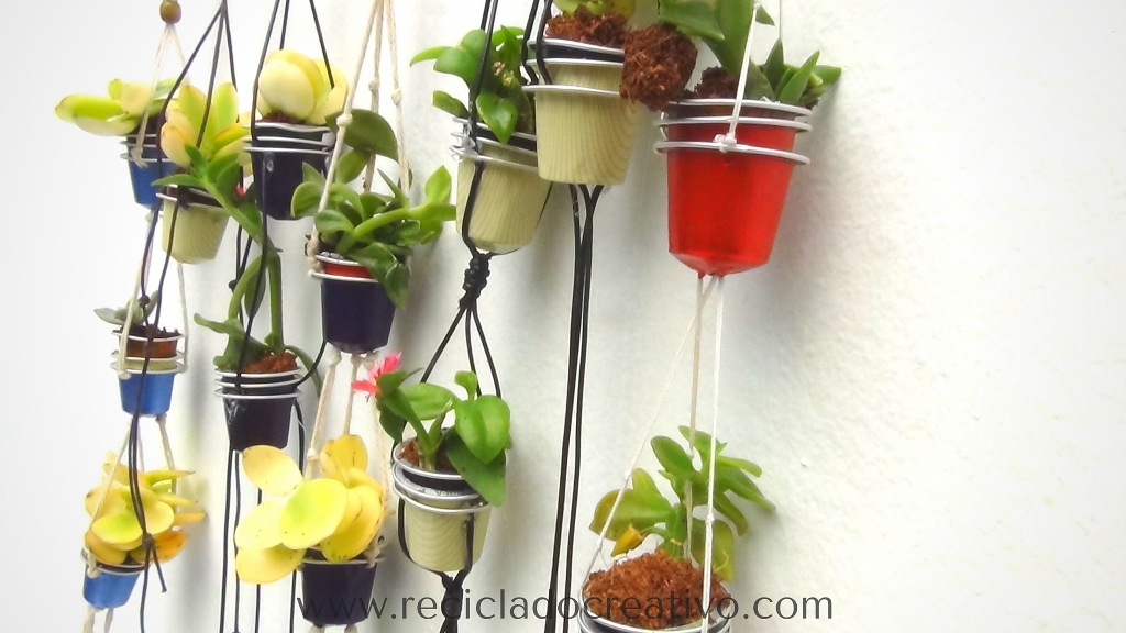 Mini macetas con plantitas sucuentas en cápsulas de café DIY
