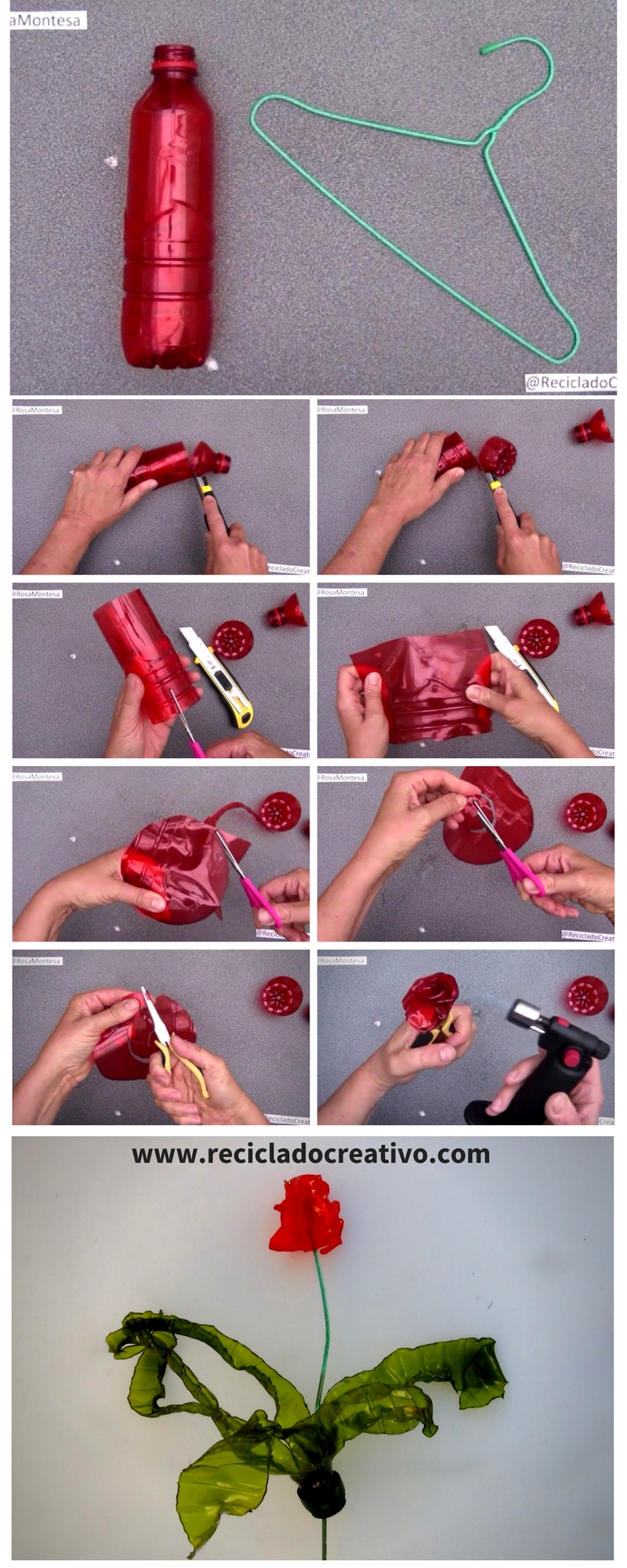 Rosas rojas reciclando botellas de plástico PET