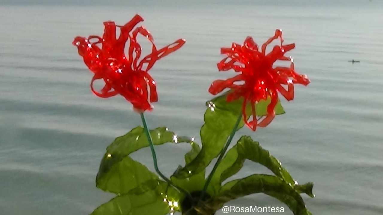 Flores reciclando botellas de plástico por Rosa Montesa