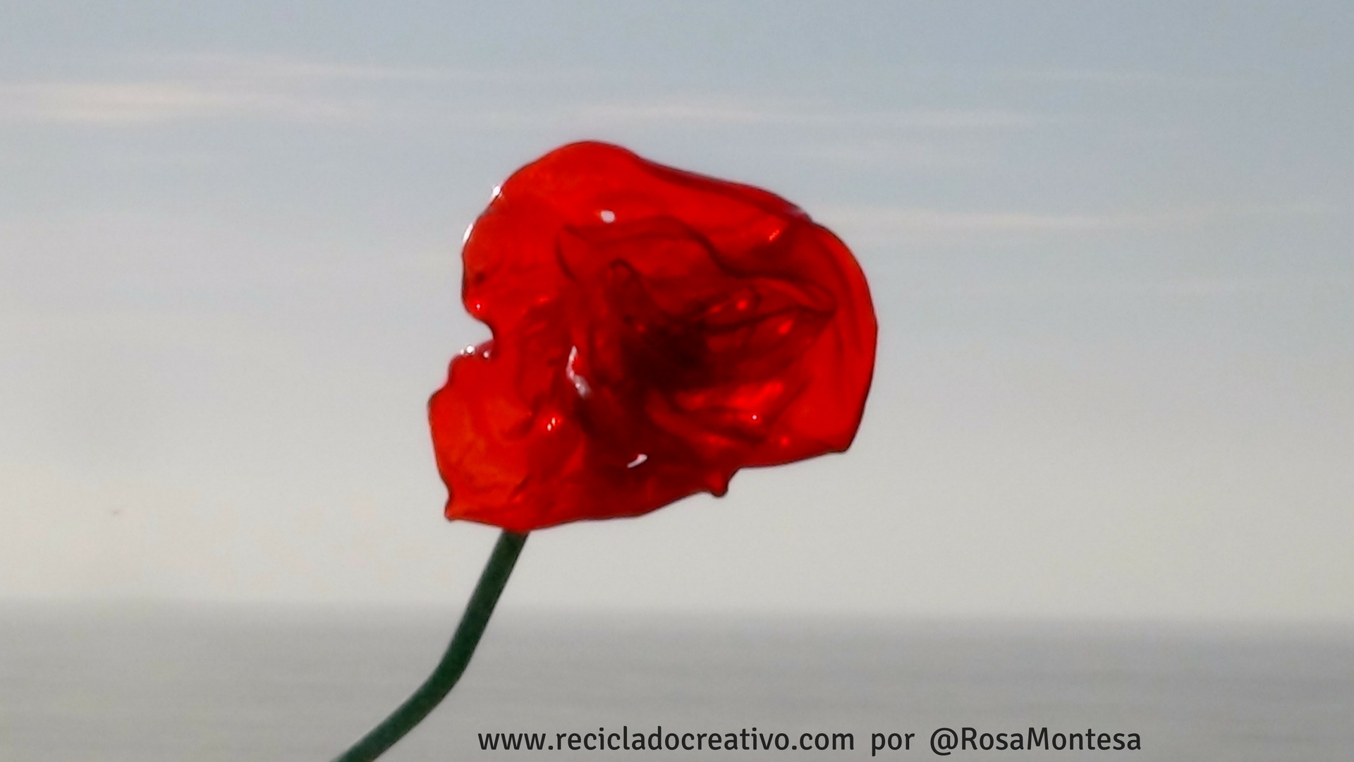 Rosas rojas reciclando botellas de plástico PET