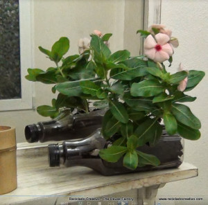 Jardín con botellas de plástico recicladas