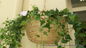 con capazos de paja en La Bella Elisa Visto por Reciclado Creativo