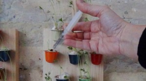 Cápsulas de café recicladas, Mini Jardín Vertical decorativo