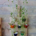 Cápsulas de café recicladas, Mini Jardín Vertical decorativo