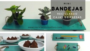 Mini bandejas planas realizadas reciclando cajas de fresas