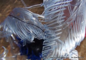 recicladocreativo limpieza del puerto de calpe