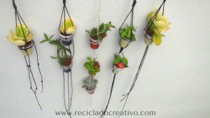 Mini macetas con plantitas sucuentas en cápsulas de café DIY