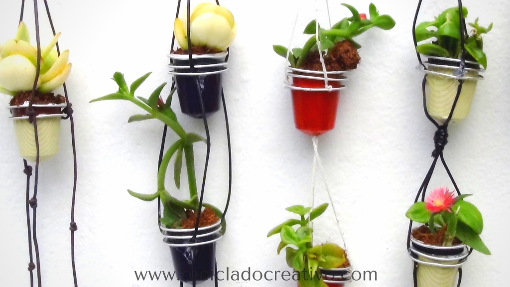 Al aire libre fluido traición Mini maceteros con plantas suculentas en cápsulas de café - RECICLADO  CREATIVO por Rosa Montesa