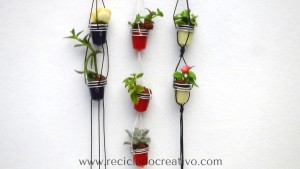 Mini macetas con plantitas sucuentas en cápsulas de café DIY