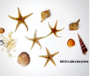 Estrellas de mar convertidas en joyas de bisutería