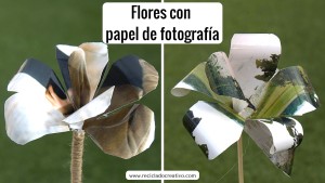 Flores con papel de fotografía. Gladiolos