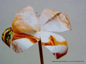 Flores con papel de fotografía. Gladiolos