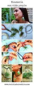 Bisutería, pendientes, colgante con plantas vivas. Claveles del viento