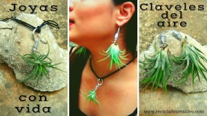 Bisutería, pendientes, colgante con plantas vivas. Claveles del viento