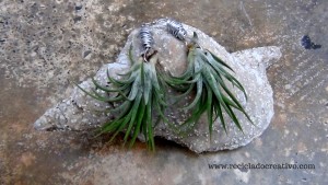 Bisutería, pendientes, colgante con plantas vivas. Claveles del viento