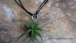 Bisutería, pendientes, colgante con plantas vivas. Claveles del viento