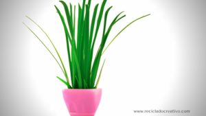 DIY Miniatura de planta de hojas verdes reciclando botellas de plástico