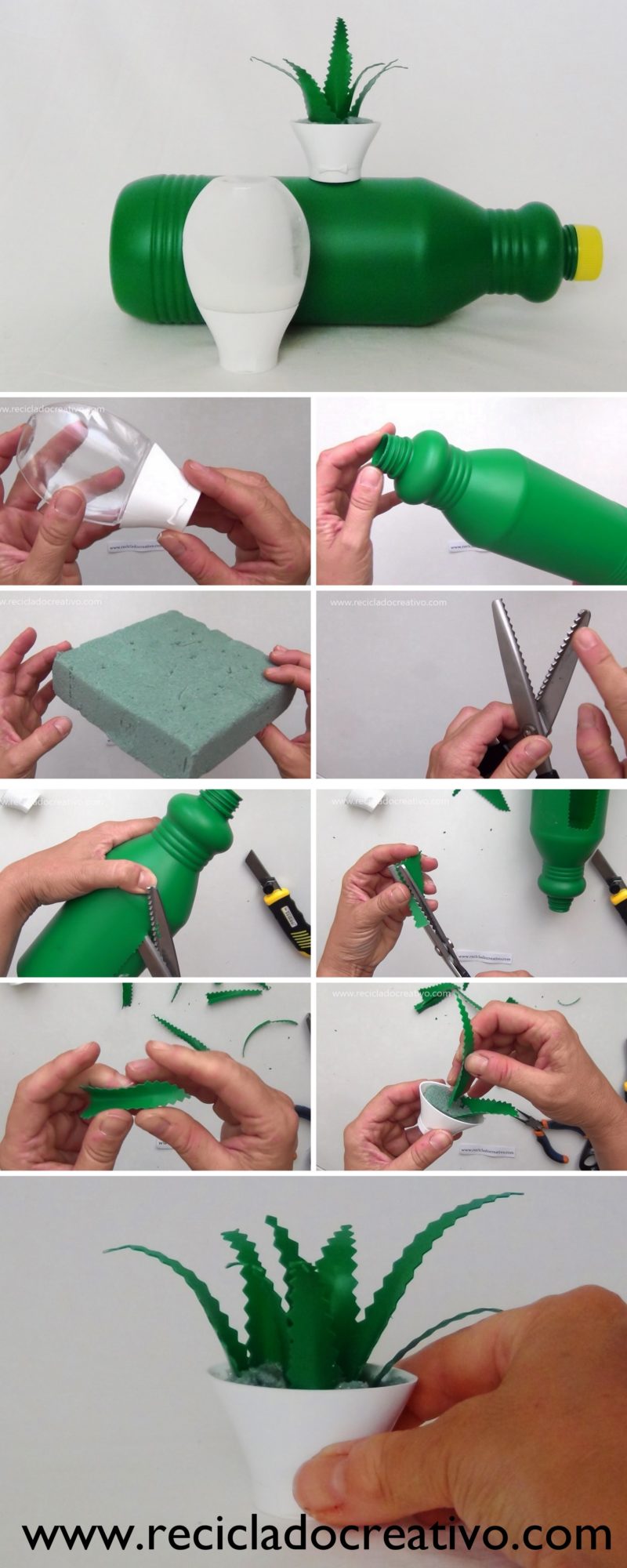 Miniatura de aloe vera DIY con botellas de plástico