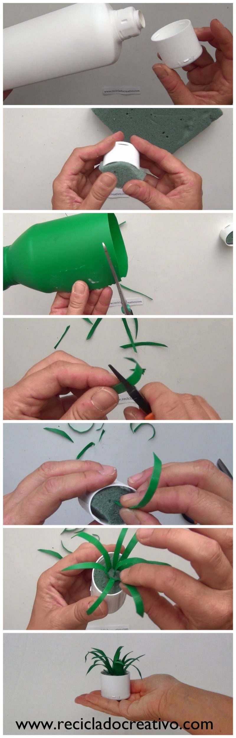 DIY Miniatura de planta de hojas cintas con botellas de plástico