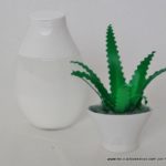 Miniatura de aloe vera DIY con botellas de plástico