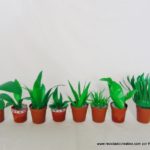 DIY Manualidad mini plantas realizadas con botellas de plástico recicladas