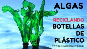 Hojas verdes y algas con botellas de plástico