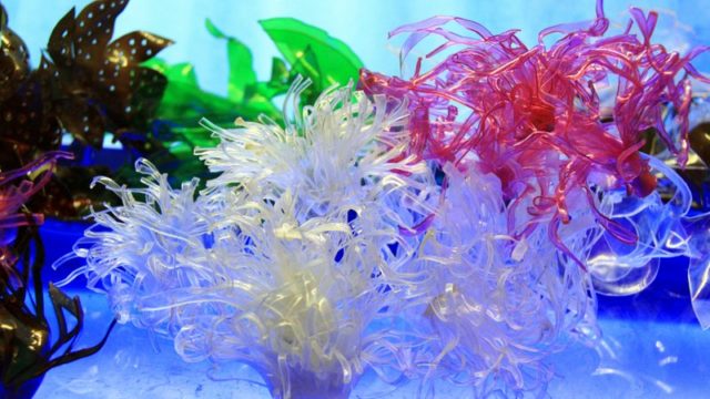 Flores marinas, ortigas y anémonas del mar, con botellas de plástico -  RECICLADO CREATIVO por Rosa Montesa