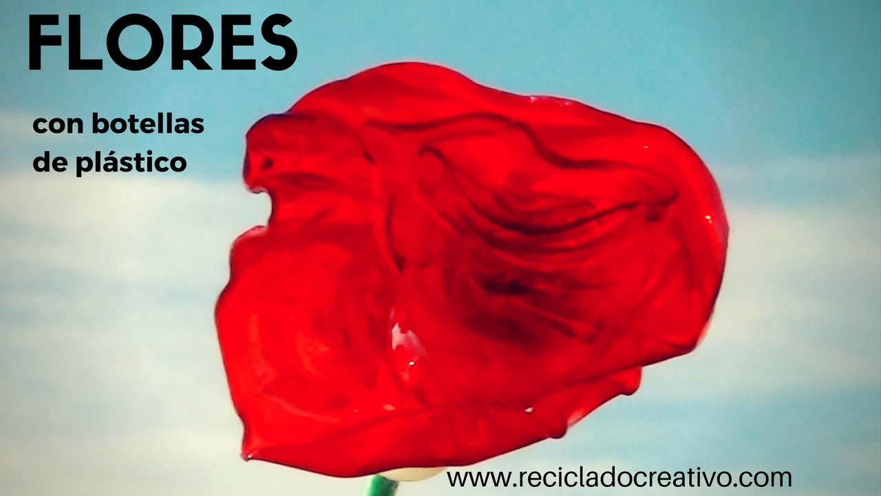 Rosas rojas reciclando botellas de plástico PET