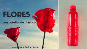 Rosas rojas reciclando botellas de plástico PET