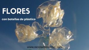 Rosas reciclando botellas de plástico PET