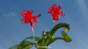 Flores reciclando botellas de plástico por Rosa Montesa