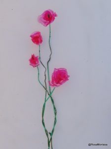 Rosas reciclando botellas de plástico PET