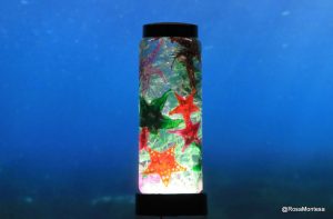 Estrellas de mar con botellas de plastico