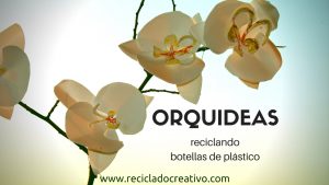 Orquídeas con botellas de plástico recicladas por Reciclado Creativo
