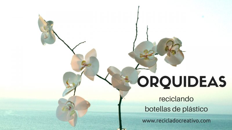 Orquídeas con botellas de plástico recicladas por Reciclado Creativo
