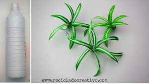 Plantas de cintas o malamadre con botellas de plástico Reciclado Creativo