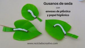 Gusano de seda sobre hoja con papel higiénico y una botella de plástico