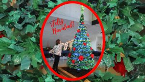 Feliz Navidad Rosa Montesa RecicladoCreativo