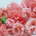 Flores rosas peonías- bolsas plásticas recicladas