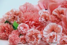 Flores rosas peonías- bolsas plásticas recicladas