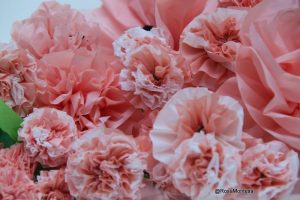 Flores rosas peonías- bolsas plásticas recicladas
