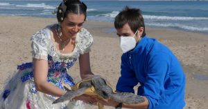 Vestido reciclado, suelta de tortugas y fallas
