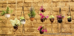 Cápsulas de café recicladas en maceteros decorativos