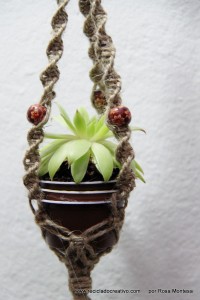 Cápsulas de café recicladas en maceteros decorativos
