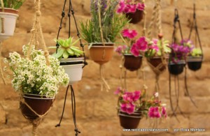 Cápsulas de café recicladas en maceteros decorativos