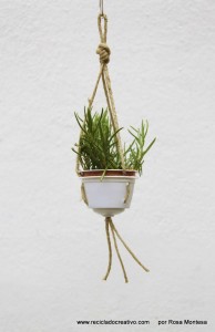 Cápsulas de café recicladas en maceteros decorativos