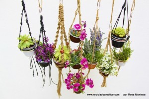 Cápsulas de café recicladas en maceteros decorativos