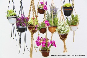 Cápsulas de café recicladas en maceteros decorativos