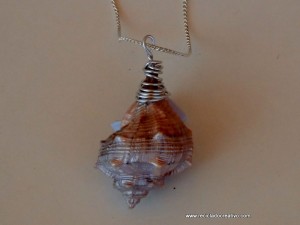 Caracolas de mar convertidas en colgantes para collares - Seashell as a pendant necklace