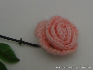 rosas de pitiminí de crochet